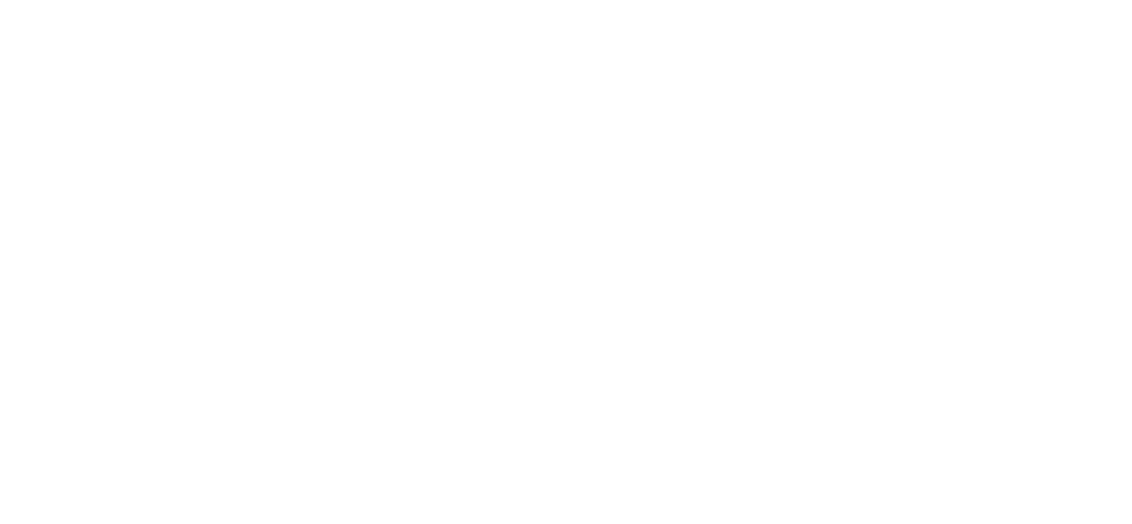 MVSTAY